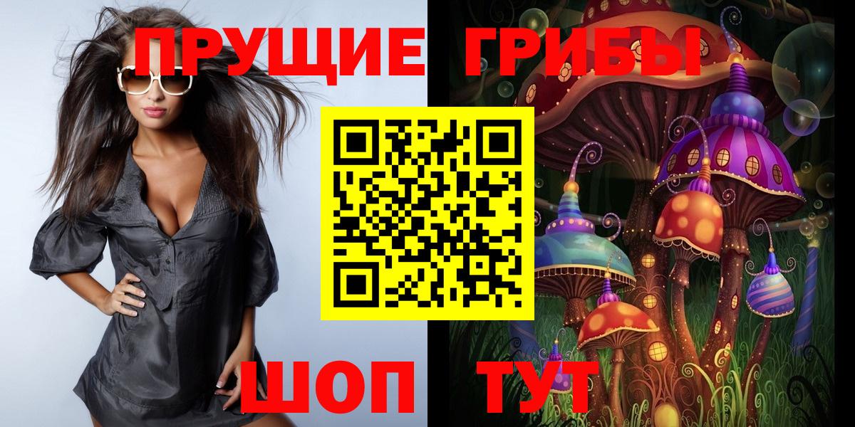 Псилоцибиновые грибы GOLDEN TEACHER  Вход с VPN  Курчалой  Псилоцибиновые грибы GOLDEN TEACHER 